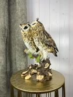 uilenpaar  uit  de Shabella-deco collectie., Ophalen of Verzenden, Nieuw, Dier