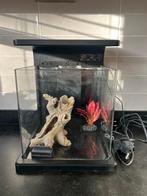Super fish aquarium 15L + toebehoren, Dieren en Toebehoren, Ophalen, Gebruikt, Leeg aquarium