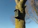 Nestkast voor spechten Spechtenkast Vogels Spechtennest, Ophalen of Verzenden, Nieuw