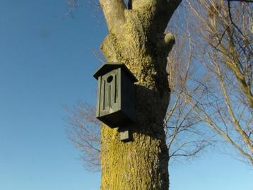 Nestkast voor spechten Spechtenkast Vogels Spechtennest beschikbaar voor biedingen
