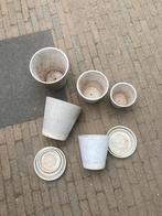 5 beton-art bloempotten met bijpassende schotels-koopje, Tuin en Terras, Bloempotten, Ophalen, Gebruikt, Tuin, Rond