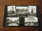 Y29 - Nieuwe Pekela - oa Molen -nMooi/Oud, Verzamelen, Ansichtkaarten | Nederland, Ophalen of Verzenden