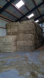 Weidehooi graszaadhooi tarwestro hooi stro te koop, Dieren en Toebehoren, Dierenvoeding, Ophalen