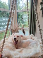 Macrame Cat Bed, Ophalen of Verzenden