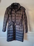 Guess jas maat M, Guess, Ophalen of Verzenden, Gedragen, Maat 38/40 (M)