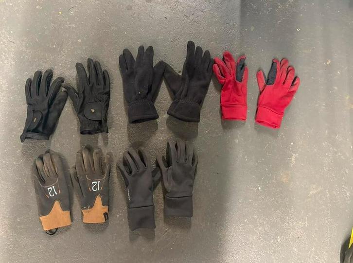 Handschoenen paardrijden, Dieren en Toebehoren, Paarden en Pony's | Overige Paardenspullen, Gebruikt, Dressuur, Ophalen of Verzenden
