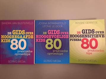 Scrivo Media De gids over hoogbegaafde kids (80 tips) beschikbaar voor biedingen