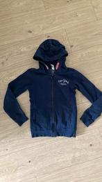 HEMA meisjes vest jas sweater 146/152 donkerblauw, Meisje, Ophalen of Verzenden, Zo goed als nieuw, Hema