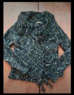 Vest maat S van Leon, Kleding | Dames, Ophalen of Verzenden, Gedragen, Maat 38/40 (M)
