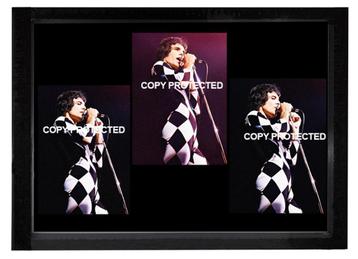 Queen rare pictures from taken  in Ahoy beschikbaar voor biedingen