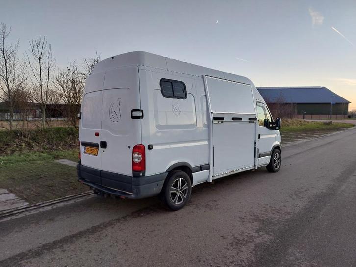 Opel Movano paardenwagen luxe zadelkamer leder water camera, Dieren en Toebehoren, Paarden en Pony's | Trailers en Aanhangwagens