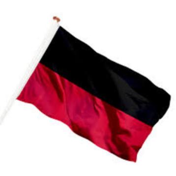 Vlag Gemeente Nijmegen beschikbaar voor biedingen