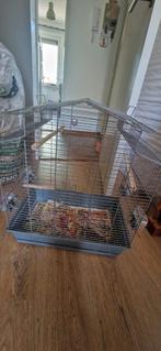 Vogelkooi, Dieren en Toebehoren, Ophalen, Zo goed als nieuw, Metaal, Vogelkooi