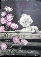 Vintage patronen moeder nov 1951  - vakblad voor moeders, Verzenden, Gebruikt, Breien of Haken, Patroon of Boek