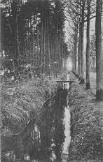 AK Ginneken, Breda - Greppel Mastbosch, Verzamelen, Ansichtkaarten | Nederland, Verzenden, Voor 1920, Gelopen, Noord-Brabant