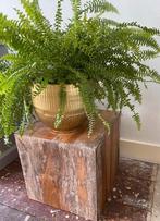 Houtlook verweerde plantentafeltje, Huis en Inrichting, Woonaccessoires | Zuilen en Pilaren, Ophalen, Gebruikt