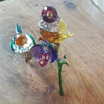 Swarovski gouldamadine beschikbaar voor biedingen