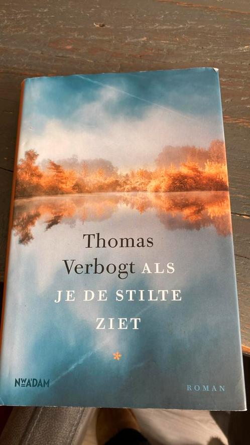 Thomas Verbogt - Als je de stilte ziet, Boeken, Literatuur, Zo goed als nieuw, Ophalen of Verzenden