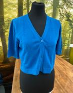 Bloomings Amsterdam kort zacht kobaltblauw vestje maat M, Kleding | Dames, Truien en Vesten, Maat 38/40 (M), Blauw, Ophalen of Verzenden