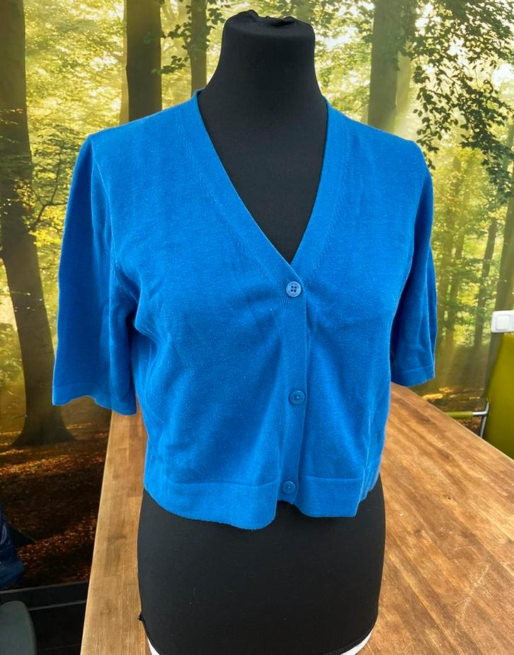 Bloomings Amsterdam kort zacht kobaltblauw vestje maat M, Kleding | Dames, Truien en Vesten, Zo goed als nieuw, Maat 38/40 (M)