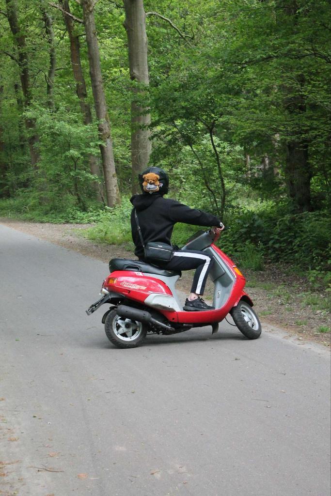 Piaggio qwartz tekoop /teruil, Fietsen en Brommers, Scooters | Piaggio, Gebruikt, Overige modellen, Ophalen of Verzenden