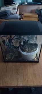 Aquarium met verwarming steentjes en deco, Ophalen of Verzenden, Zo goed als nieuw, Leeg aquarium