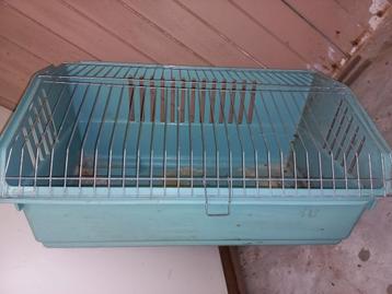 Caviakooi - cavia of hamster kooi beschikbaar voor biedingen