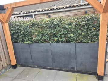 4 Grote Plantenbakken - 80x30x93 cm beschikbaar voor biedingen