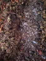 Gratis paardenmest voor tuin en moestuin, Ophalen, Mest