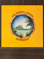 Dasanudasa ‎– Ras Mandal Reggae, Ophalen of Verzenden, 1980 tot 2000, Zo goed als nieuw, 12 inch