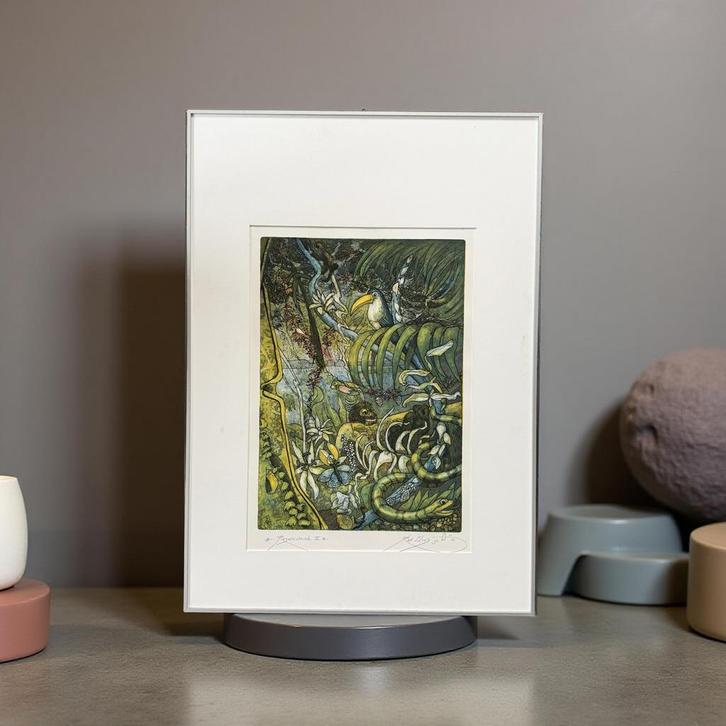 Rob Clous - Regenwoud Ets - Gesigneerd - 1992, Antiek en Kunst, Kunst | Etsen en Gravures, Ophalen