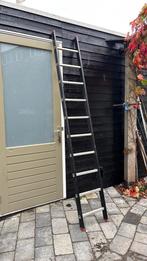 Aluminium steekladder Alga – 10 sporten, lengte 265 cm, Ophalen, Zo goed als nieuw, 4 meter of meer
