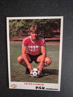 Peter Corbijn - PSV speler fotokaart / seizoen 1985-1986, Ophalen of Verzenden, Gebruikt, PSV, Spelerskaart