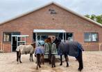 Stalling, Dieren en Toebehoren, Stalling en Weidegang, Stalling