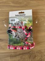 Kitten tuigje, Ophalen of Verzenden, Nieuw