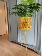 Plantenbak op poten, Huis en Inrichting, Kamerplanten, Ophalen of Verzenden, Overige soorten, Minder dan 100 cm