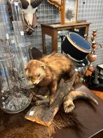 Taxidemie fred, Ophalen, Zo goed als nieuw, Beeldje of Figuurtje