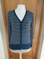 Vest, Ophalen of Verzenden, Nieuw, Maat 38/40 (M), Blauw