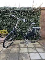 Raleigh Freedom Nexave Damesfiets - 7 versnellingen, Fietsen en Brommers, Fietsen | Dames | Damesfietsen, Versnellingen, Ophalen