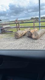 Brandhout (linde), Tuin en Terras, Haardhout, Minder dan 3 m³, Ophalen of Verzenden