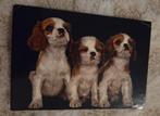 Cavalier King Charles-spaniël puppy's, Verzenden, 1980 tot heden, Gelopen, Hond of Kat