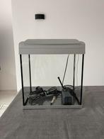 Superfish aquarium 30l, Dieren en Toebehoren, Vissen | Aquaria en Toebehoren, Ophalen of Verzenden, Gebruikt, Verlichting of Verwarming