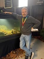 Gratis* Vissenopvang & Asiel Noord Holland, Dieren en Toebehoren, Vissen | Aquariumvissen, Vis, Zoetwatervis