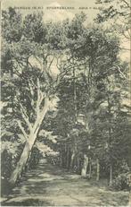 (380-910-001) Bergen (NH) Sparrenlaan, Verzamelen, Ansichtkaarten | Nederland, Verzenden, Noord-Holland