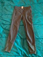 Quur paardrijbroek mt 38., Dieren en Toebehoren, Ophalen of Verzenden, Nieuw