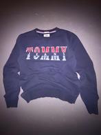 Tommy Jeans Trui - Maat S - Blauw, Kleding | Heren, Blauw, Ophalen of Verzenden, Zo goed als nieuw, Tommy Jeans
