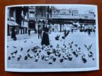 ansichten Rotterdam, Ophalen of Verzenden, 1940 tot 1960, Gelopen, Zuid-Holland