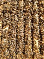 Gezocht Bijenvolken, Ophalen of Verzenden