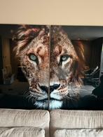 Plexiglas lion&lioness !!!, Ophalen, Nieuw, 75 tot 100 cm, 75 cm of meer