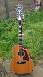 Mooie 12-snarige gitaar van D'Angelico, Gebruikt, 12-snarig, Ophalen, Western- of Steelstringgitaar
